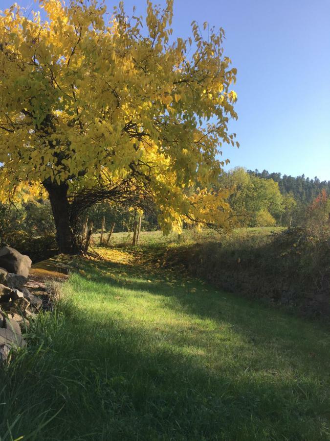 Le Chatel En Beaujolais *